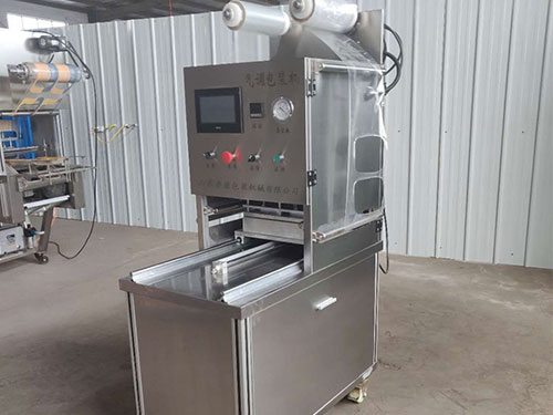 蔬菜水果锁鲜气调真空包装机